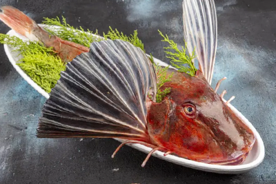 Kırlangıç (2 kişilik)